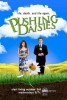 Pushing Daisies Photos Promos - Saison 1 