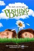 Pushing Daisies Photos Promos - Saison 1 